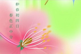 春分-万物复苏，春暖花开
