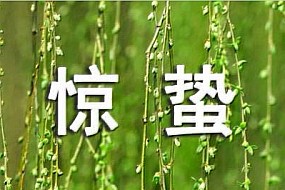 惊蛰-春雷一声惊动天地，和风细雨惊蛰节气