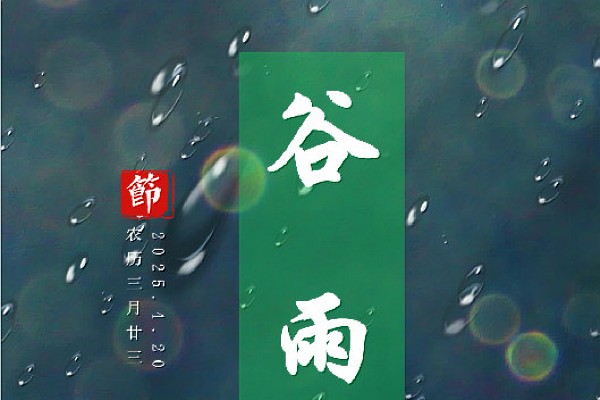 谷雨-春尽夏将至，繁花似锦来
