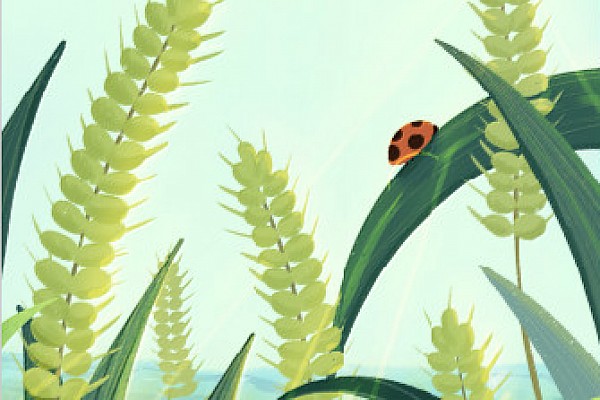 小满丨万物知夏，盈满新生