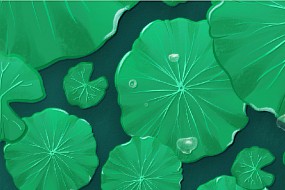 处暑丨清风解暑意，万物入清秋