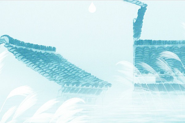 白露丨露从今夜白 ，秋意日渐深