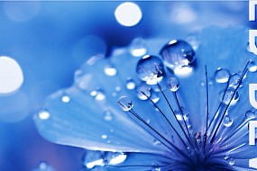 寒露丨寒生露凝，秋意渐浓