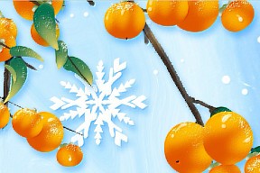 立冬丨万物收藏，静待新生