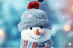 小雪丨小雪藏万物，静候春归期