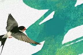 立春丨万物随春醒，美好皆可期