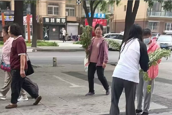 端午送艾草，温情暖家园——金州福佳新天地物业开展端午赠艾活动